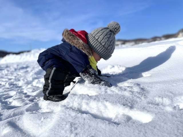 一面の雪景色