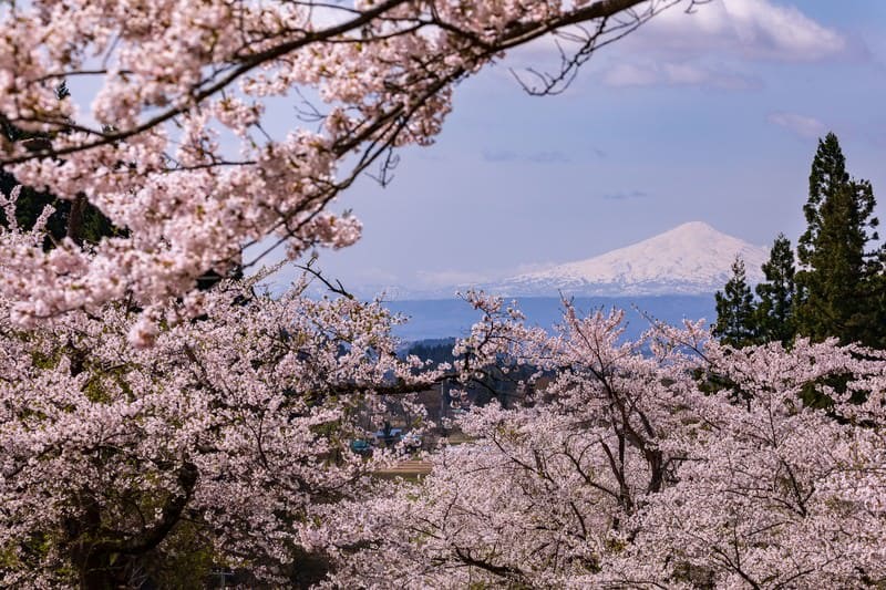 日本の春の風景