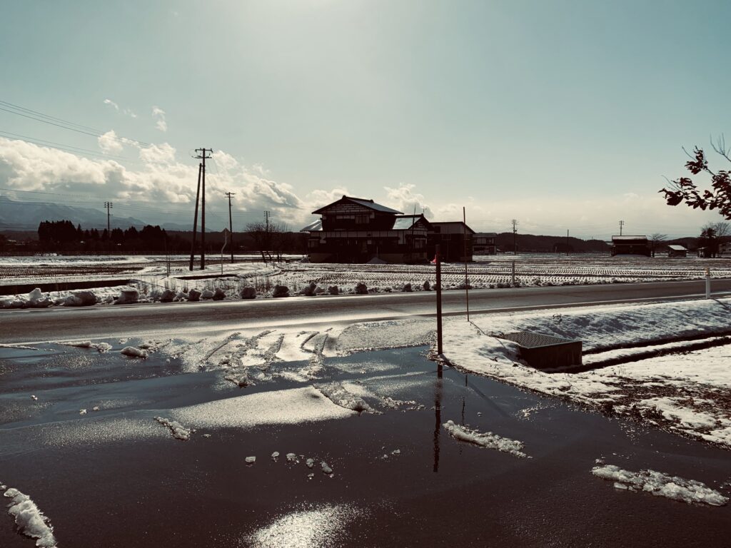 めごたま園から見た風景