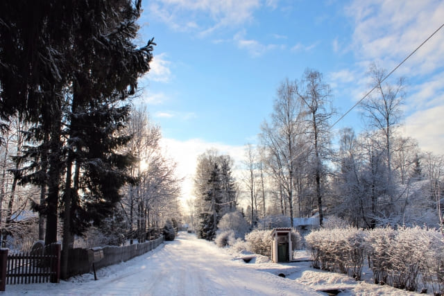 フィンランドの雪景色。