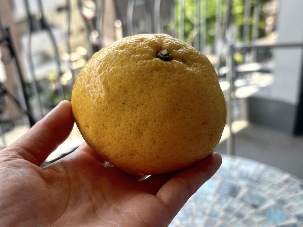 夏みかんとバルコニー