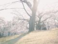 春の訪れ
